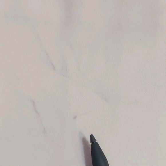 J. Mclaughlin Dress Pants Womens Size 6 High Rise Flat Front Wide Leg Ivory FLAW - Picture 12 of 15